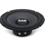 ESB 1000 Series 1.6K2X 2-Way Speaker System with 12dB Tweeter Crossover Genuine - Image 6